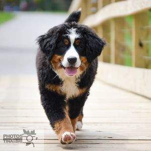 Meet your Posher, Jayne